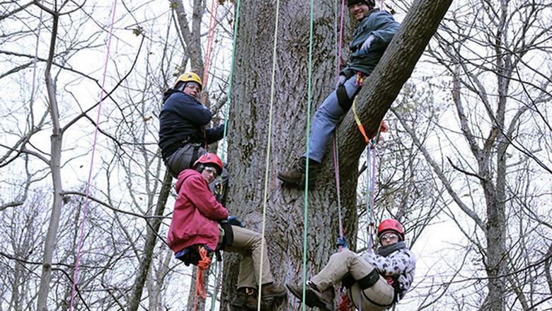 Forestry Students Experience "Big Tree Climb"